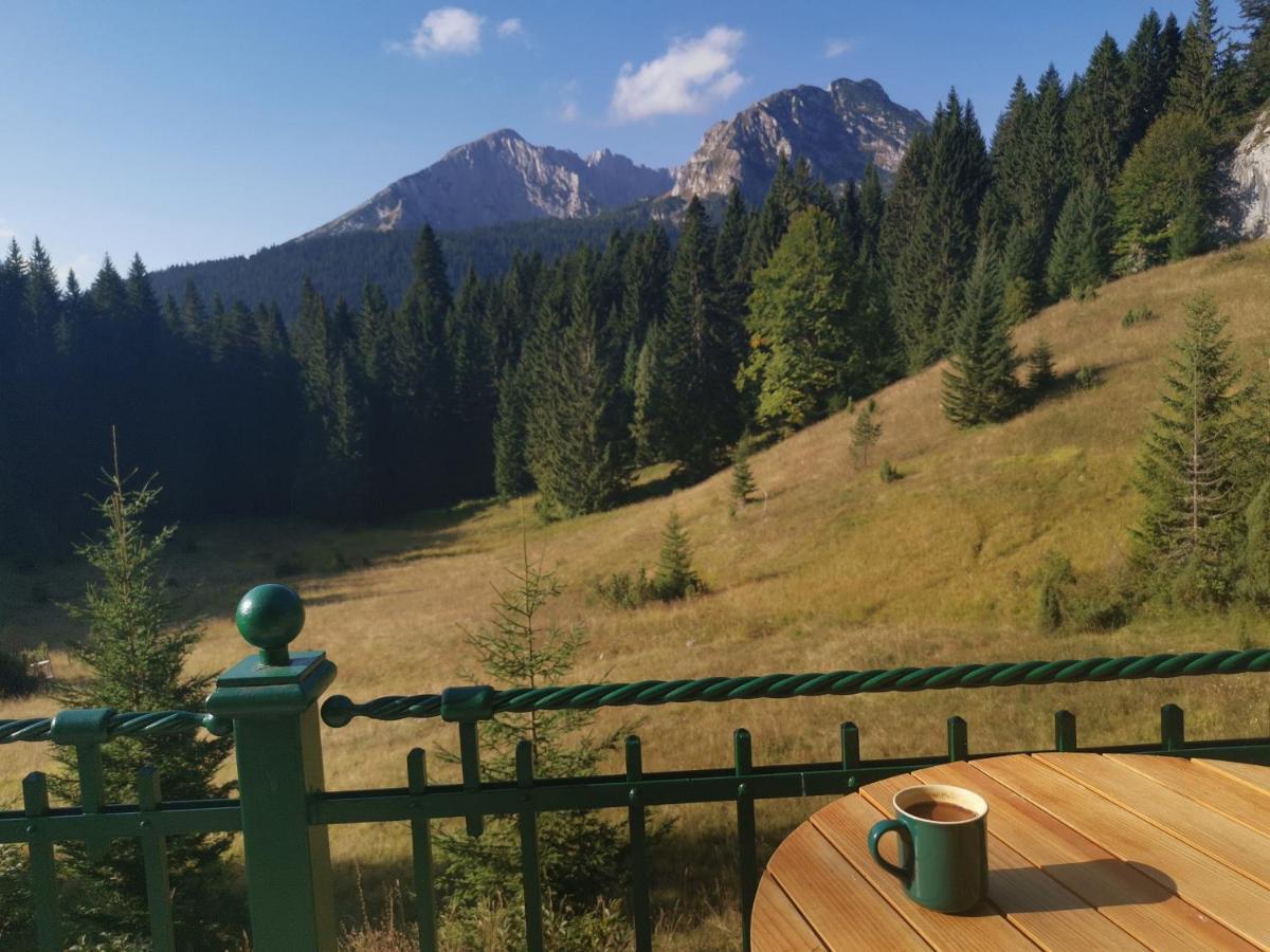 Magic Mountain Villa Žabljak Exteriör bild