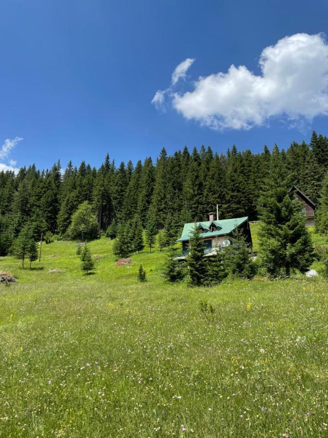 Magic Mountain Villa Žabljak Exteriör bild