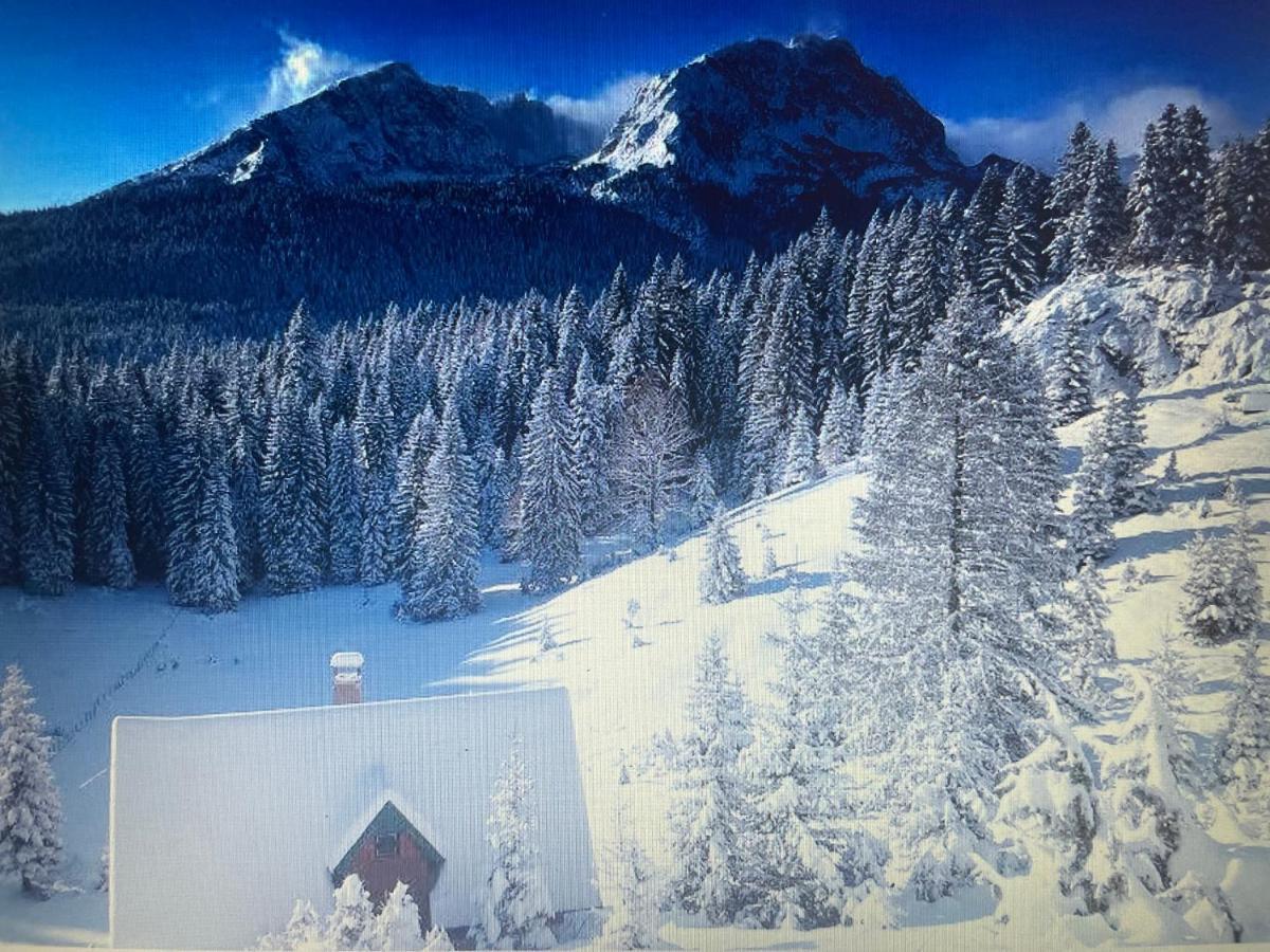 Magic Mountain Villa Žabljak Exteriör bild