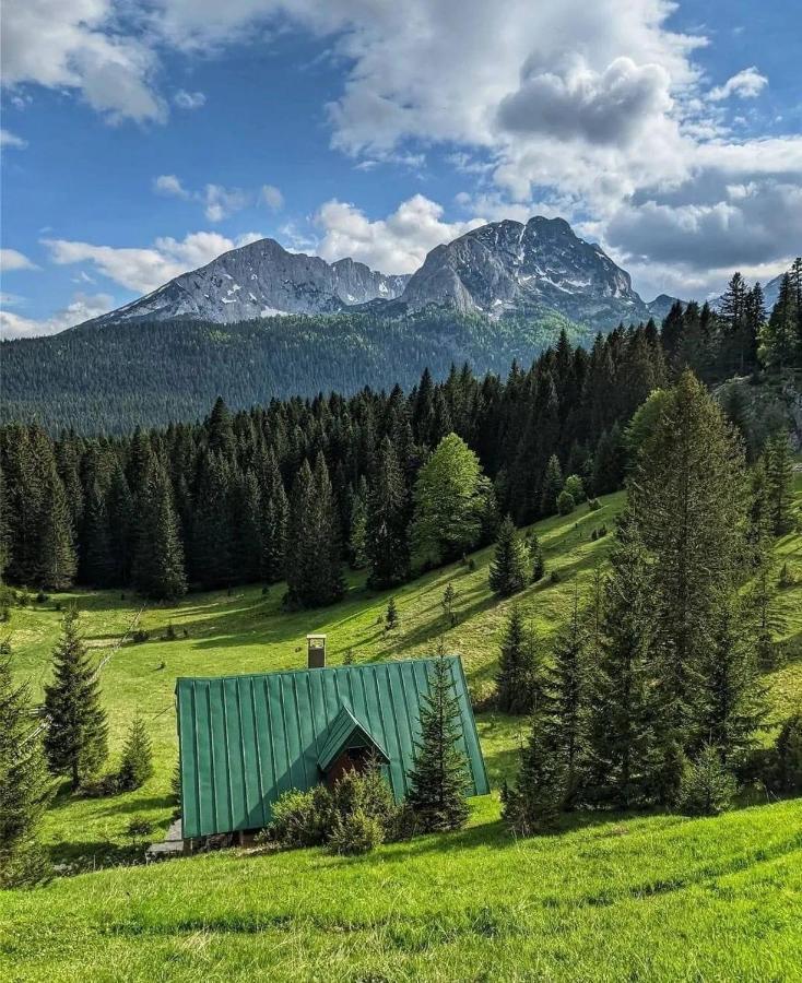 Magic Mountain Villa Žabljak Exteriör bild