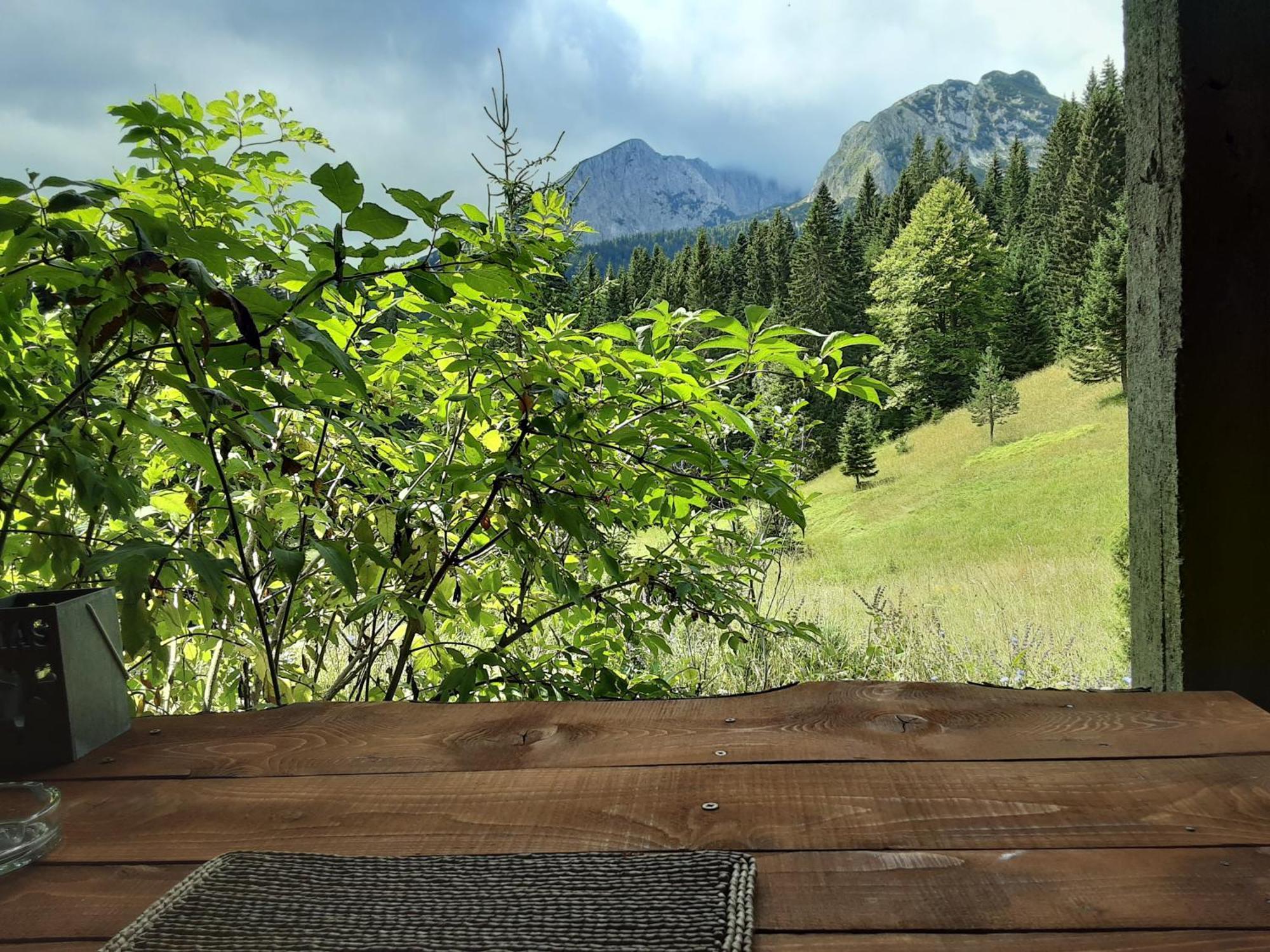 Magic Mountain Villa Žabljak Exteriör bild